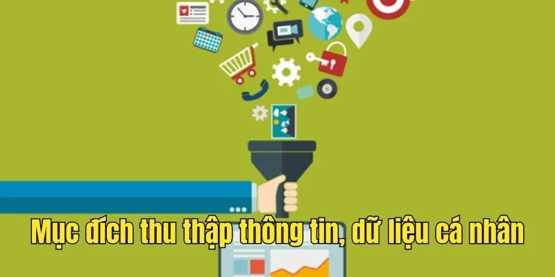 Mục đích thu thập thông tin, dữ liệu cá nhân của bet365