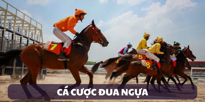 Cá cược đua ngựa bet365