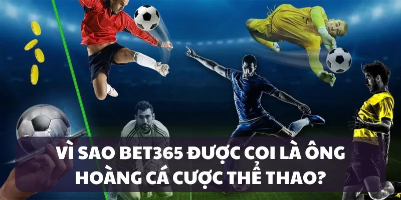 Nhà cái bet365 có rất nhiều ưu điểm cho những ai cá cược thể thao