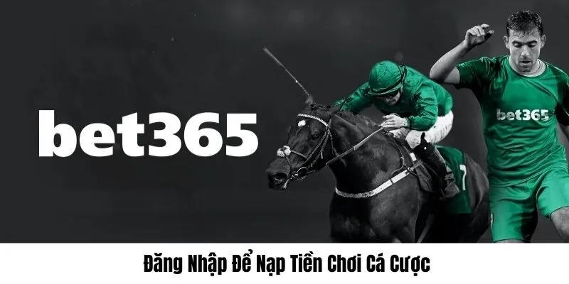 Khi đăng nhập bet365 bạn cần nạp tiền để chơi