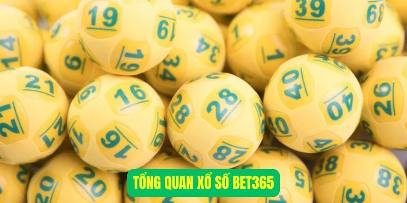 Tổng quan xổ số Bet365